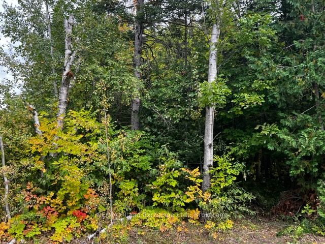 6 SHORE Road, Saugeen Shores, ON N0H 2L0 photo 3