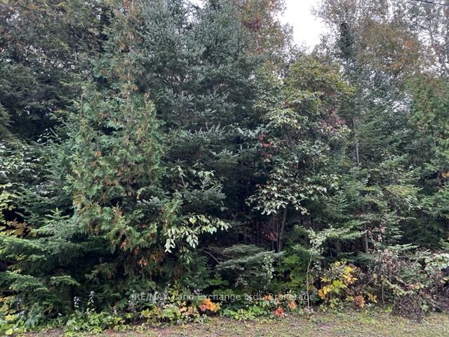6 SHORE Road, Saugeen Shores, ON N0H 2L0 photo 5