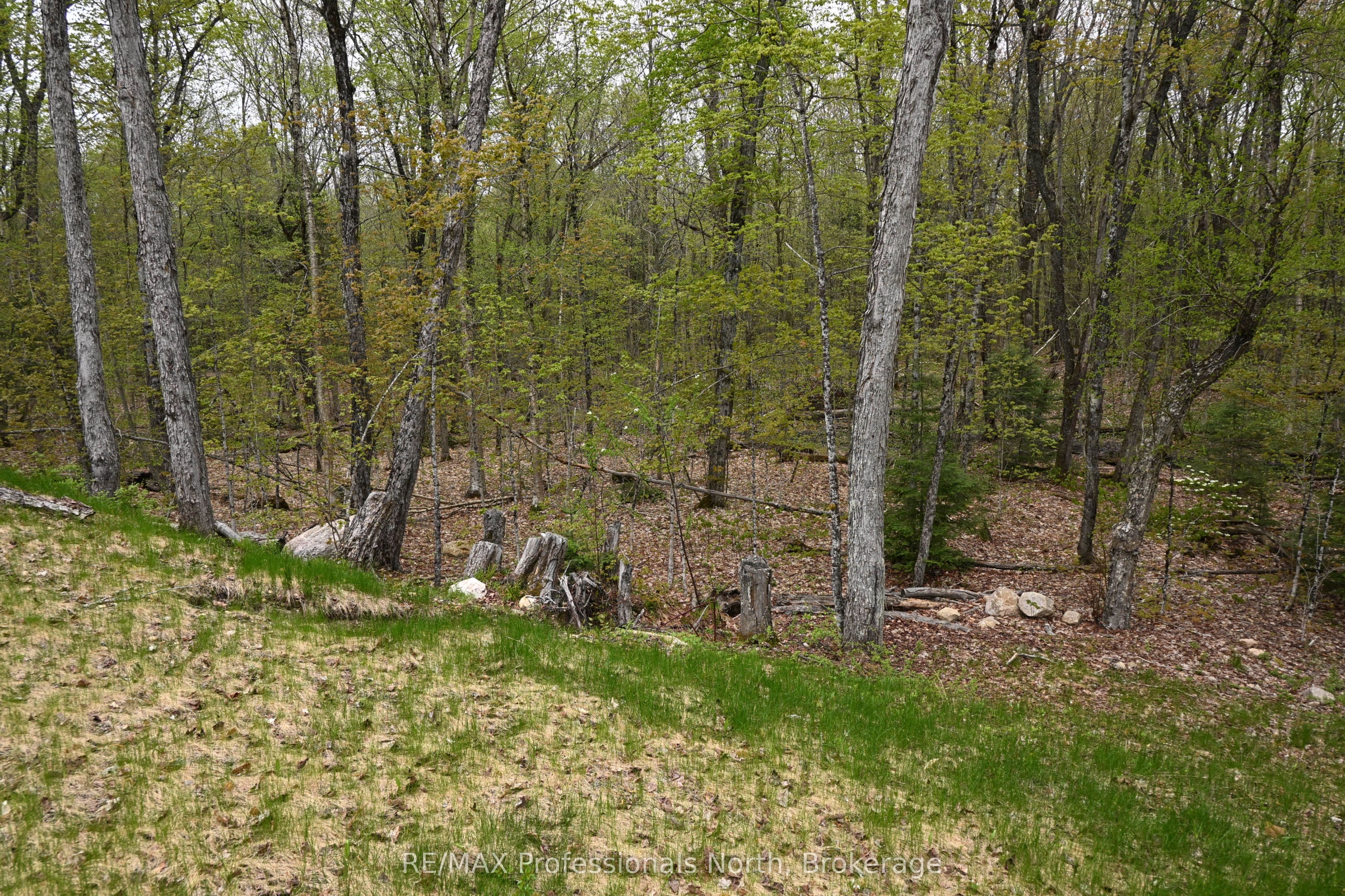 121 Loon Lake Road, Magnetawan, ON P0A 1Z0 photo 3