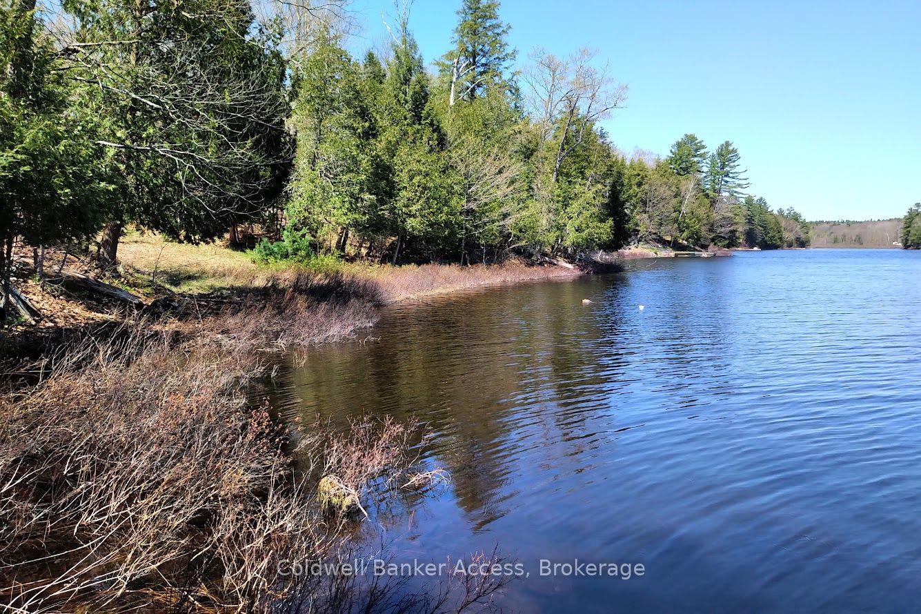 153 HIGHWAY 124 N/A, McDougall, ON P2A 2W7 photo 2
