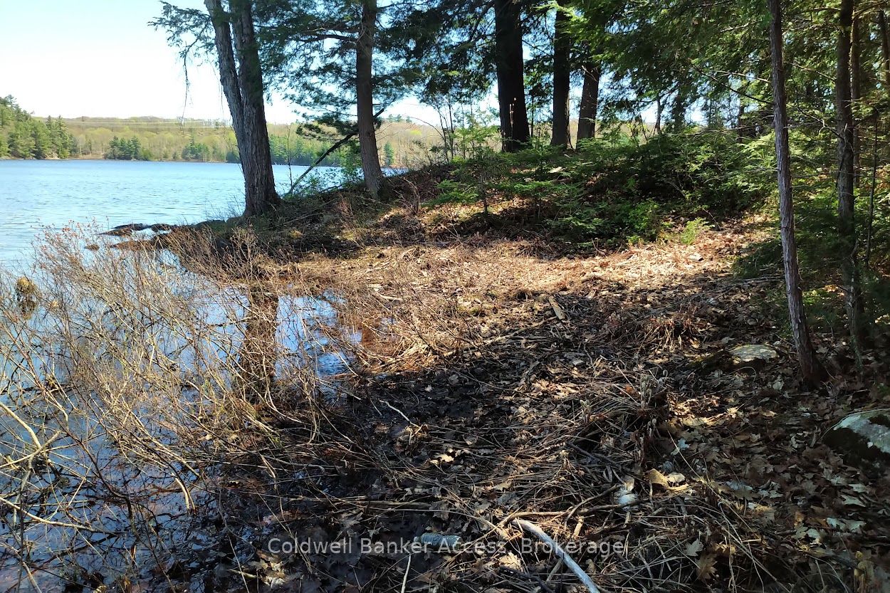 153 HIGHWAY 124 N/A, McDougall, ON P2A 2W7 photo 3