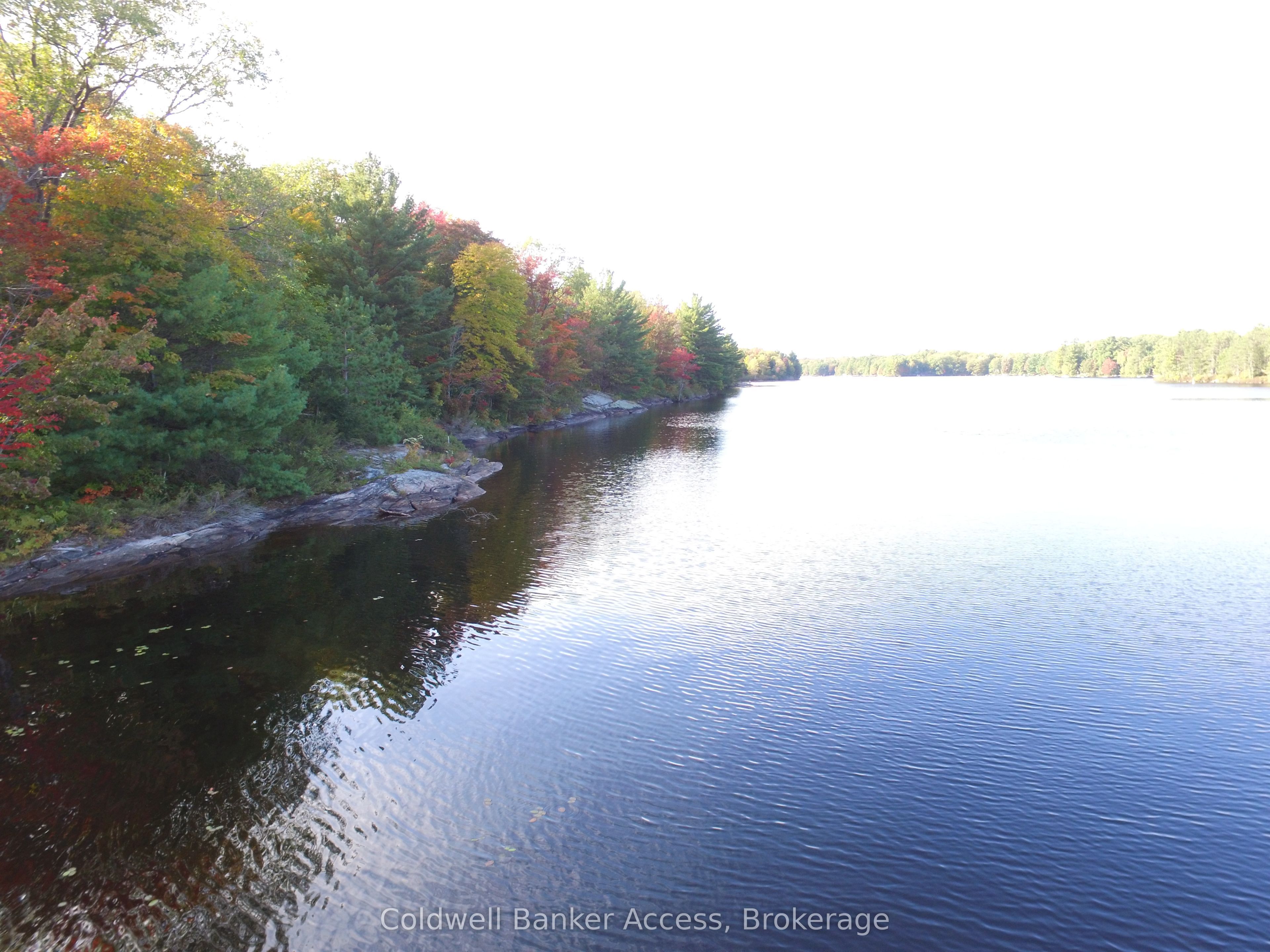30 Hawkins Point Road, Georgian Bay, ON P0C 1A0 photo 4