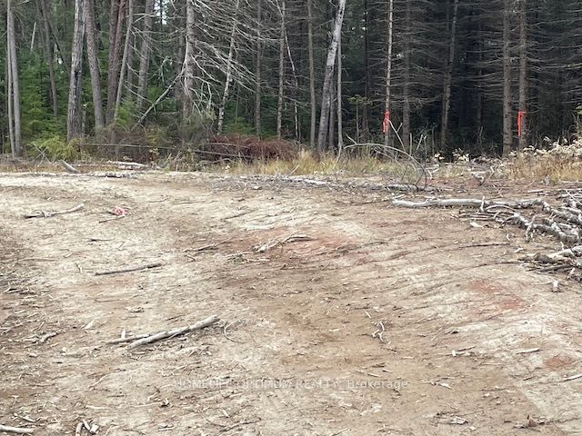 PCL 7576 0 N, Dryden, ON P0V 1P0 photo 2