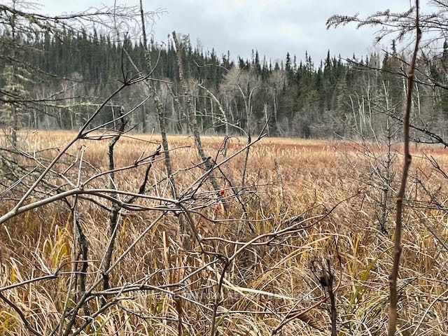 PCL 7576 0 N, Dryden, ON P0V 1P0 photo 3