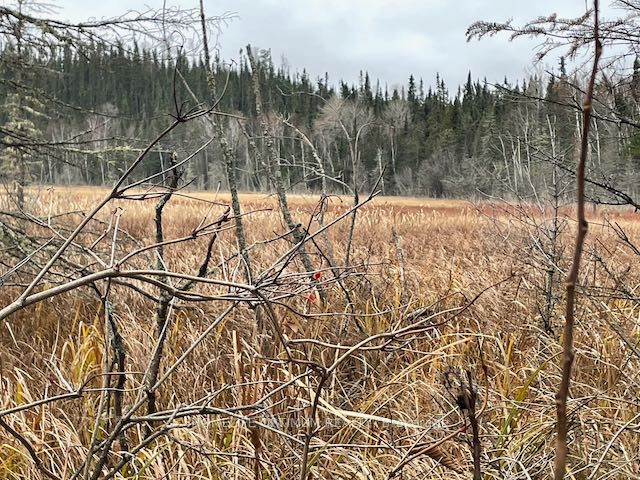 PCL 7576 0 N, Dryden, ON P0V 1P0 photo 4