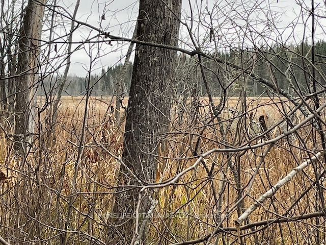 PCL 7576 0 N, Dryden, ON P0V 1P0 photo 5