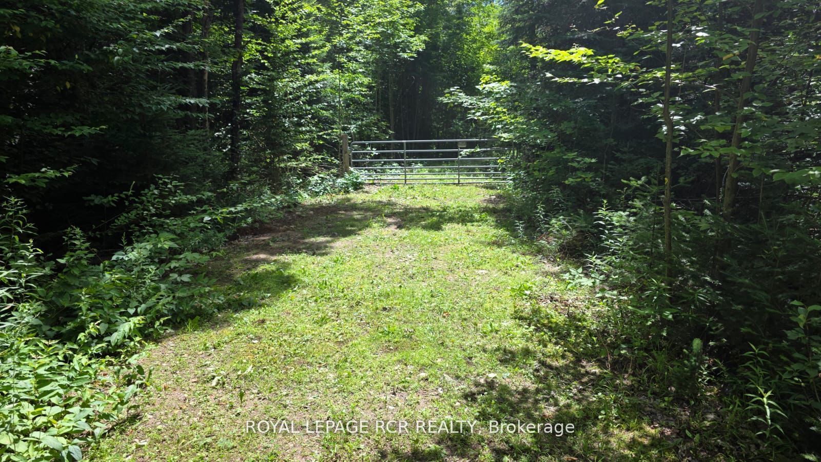 1414 Madill Road, Highlands East, ON K0M 1R0 photo 2