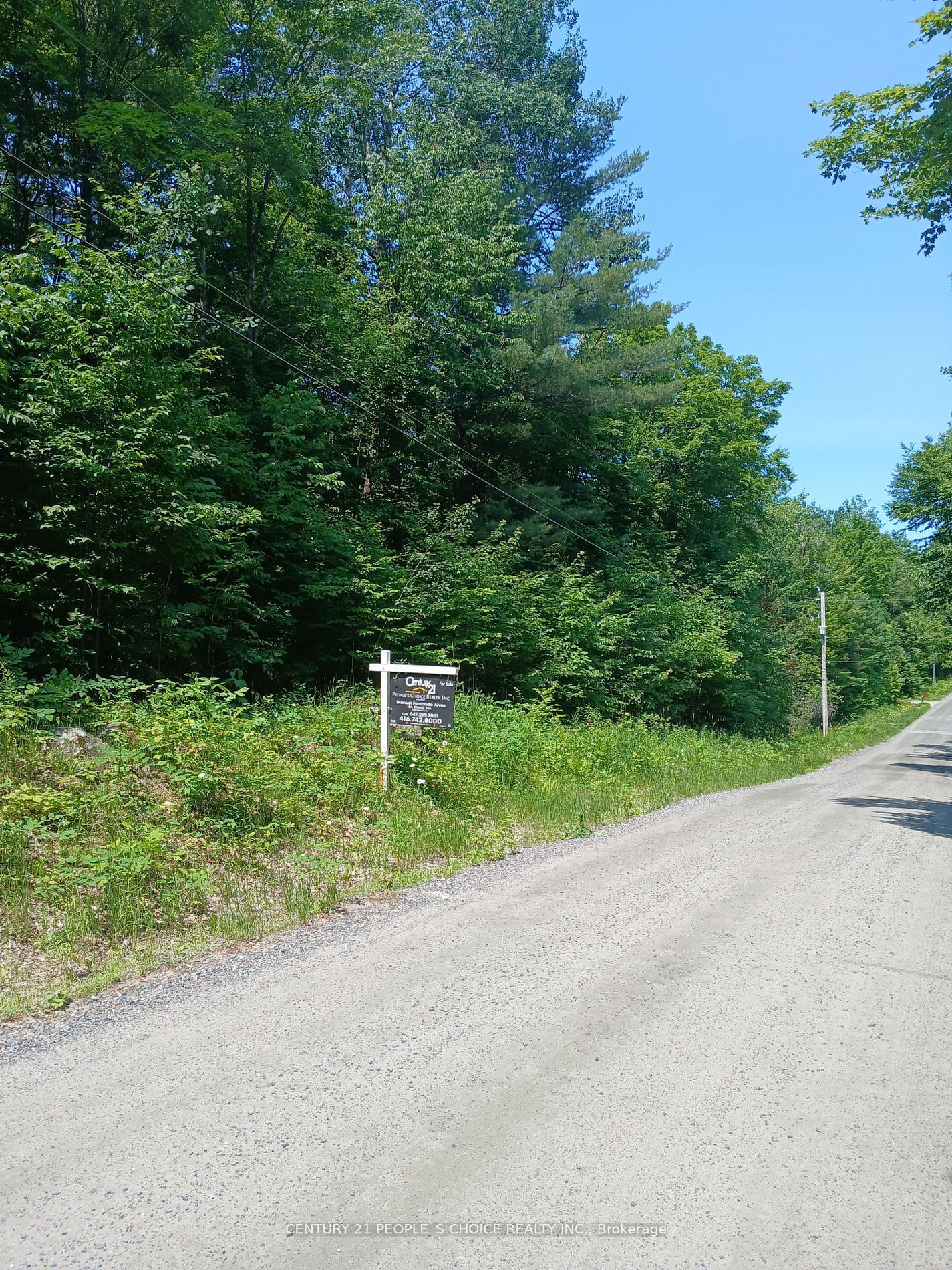 1055 W Porkys Road, Minden Hills, ON K0M 2K0 photo 3