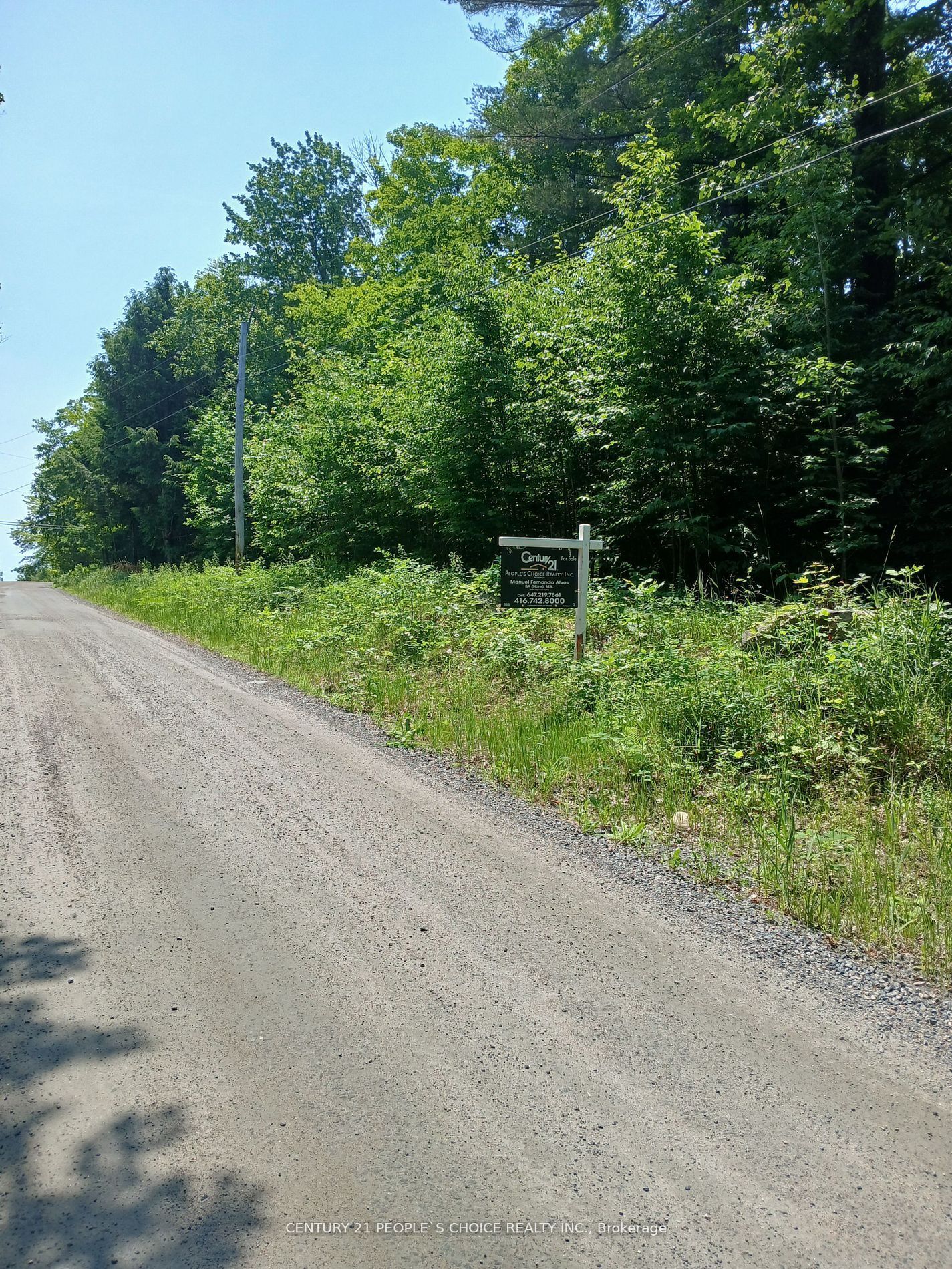 1055 W Porkys Road, Minden Hills, ON K0M 2K0 photo 4