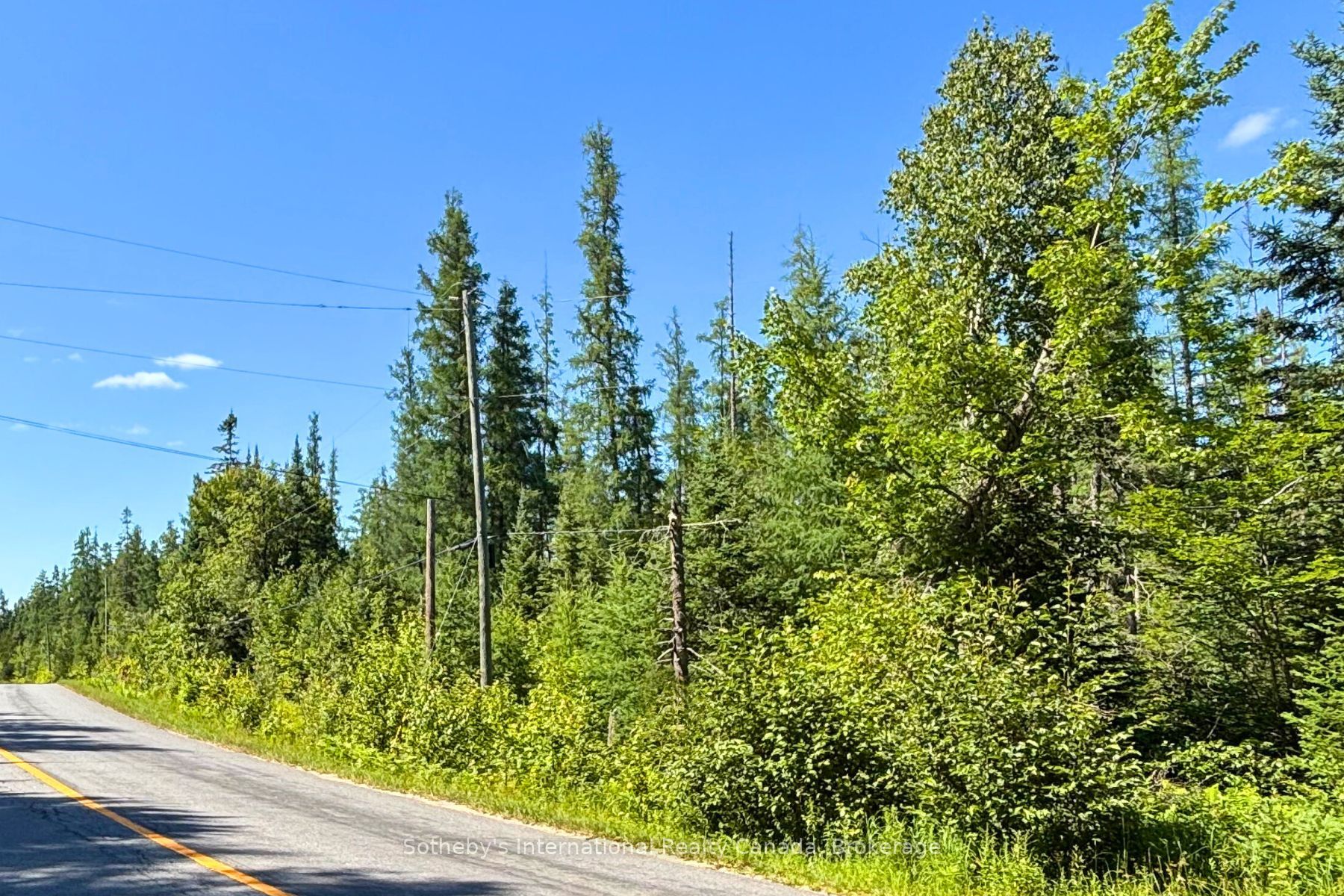 0- P1 Highway 518 W, McMurrich/Monteith, ON P0A 1Y0 photo 2