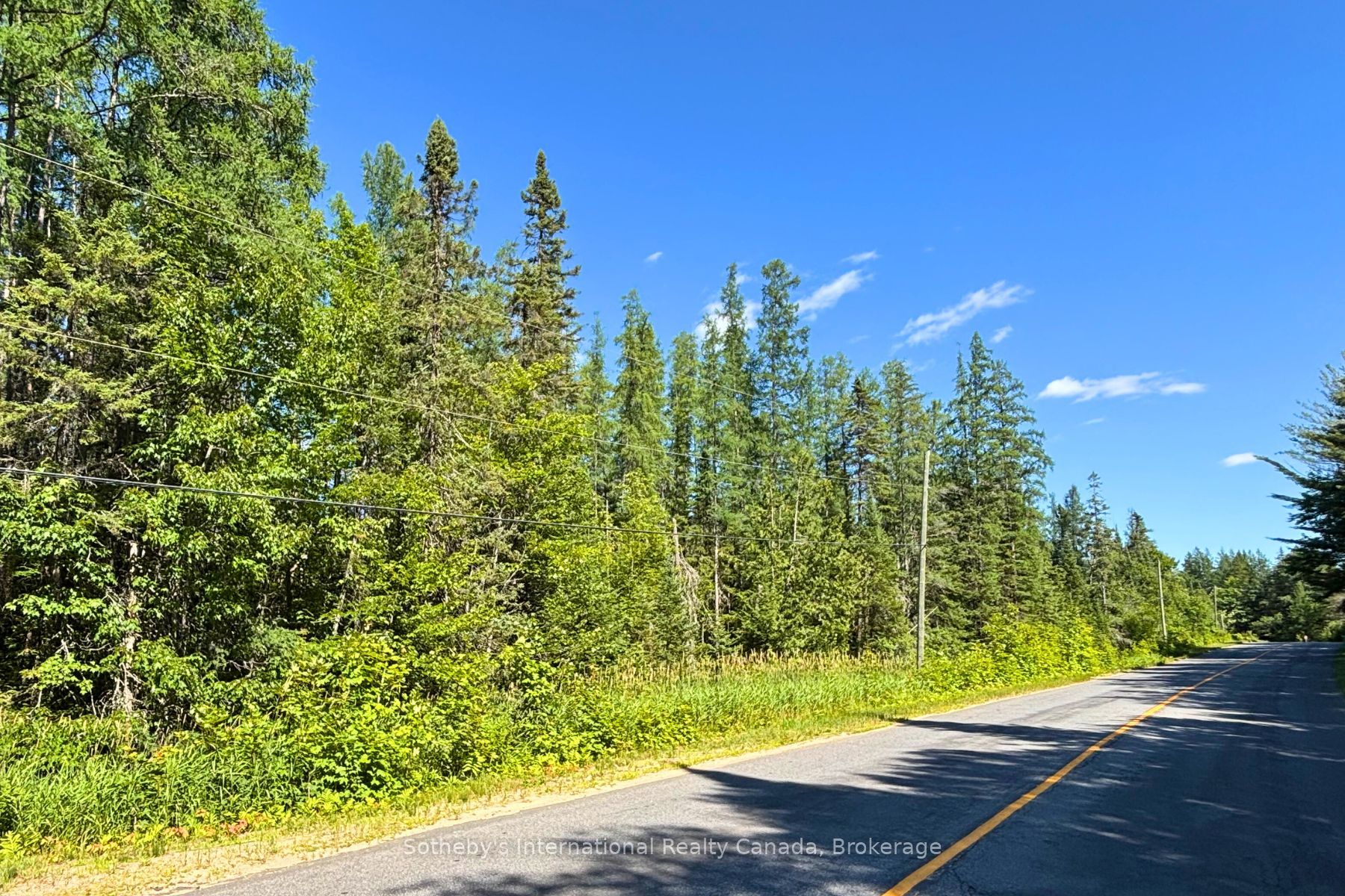 0- P1 Highway 518 W, McMurrich/Monteith, ON P0A 1Y0 photo 3