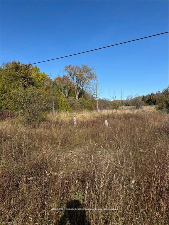 3288 HWY 6, Northern Bruce Peninsula, ON N0H 1W0 photo 3