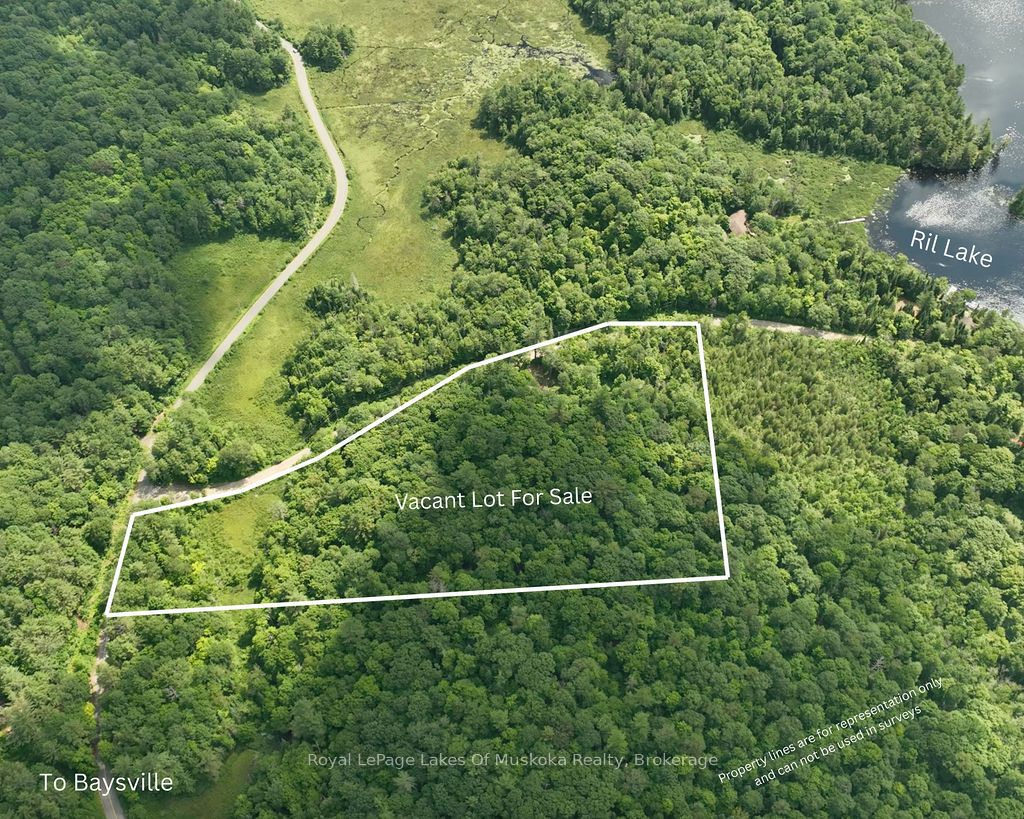 0000 Ril lake Road S, Lake of Bays, ON P0B 1A0