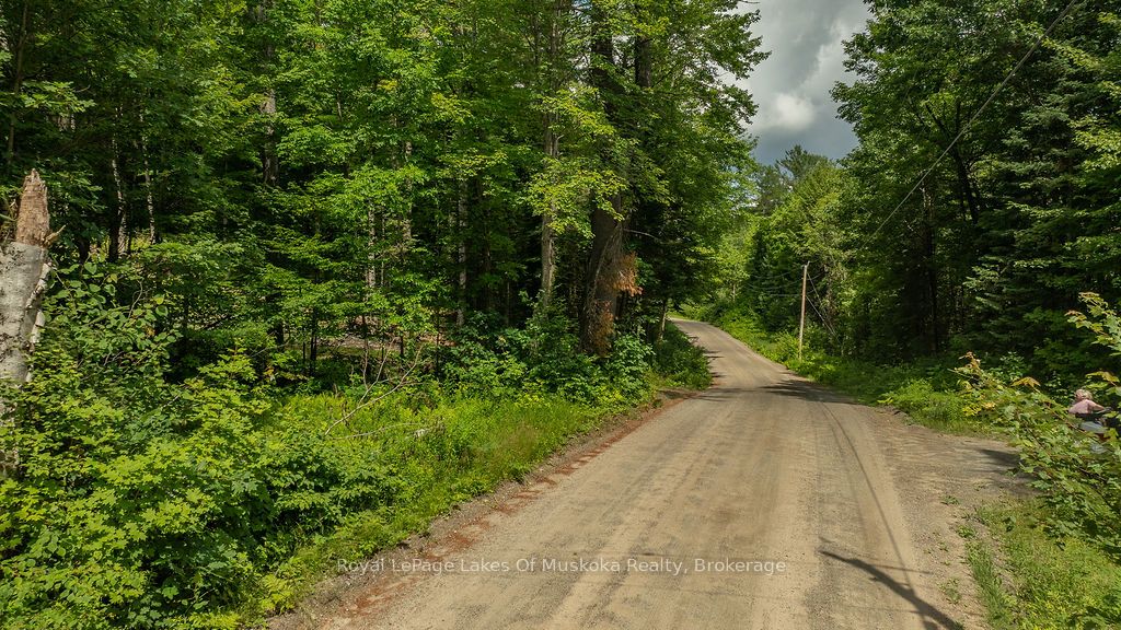 0000 Ril lake Road S, Lake of Bays, ON P0B 1A0 photo 2
