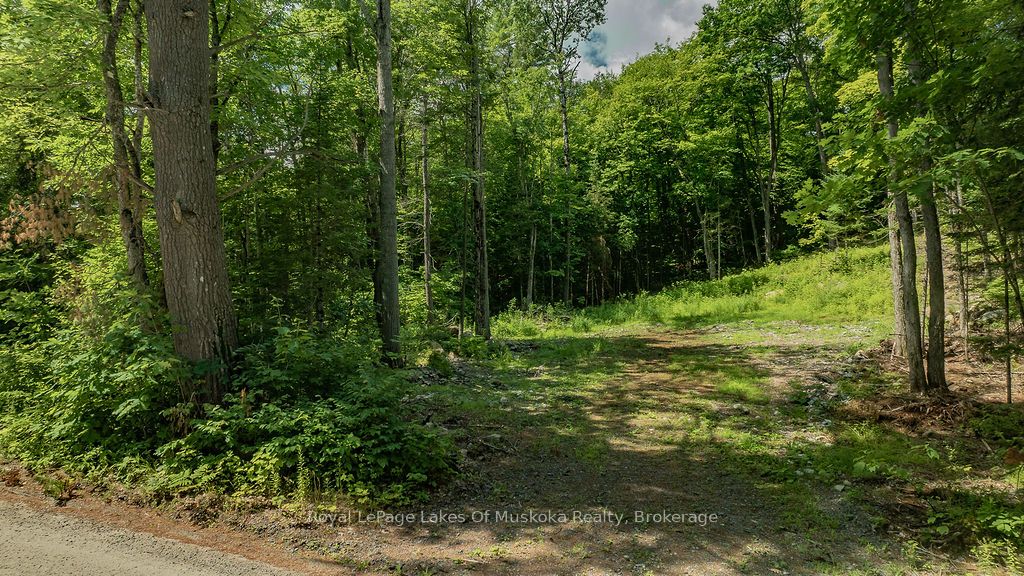 0000 Ril lake Road S, Lake of Bays, ON P0B 1A0 photo 3