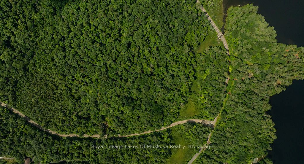 0000 Ril lake Road S, Lake of Bays, ON P0B 1A0 photo 4