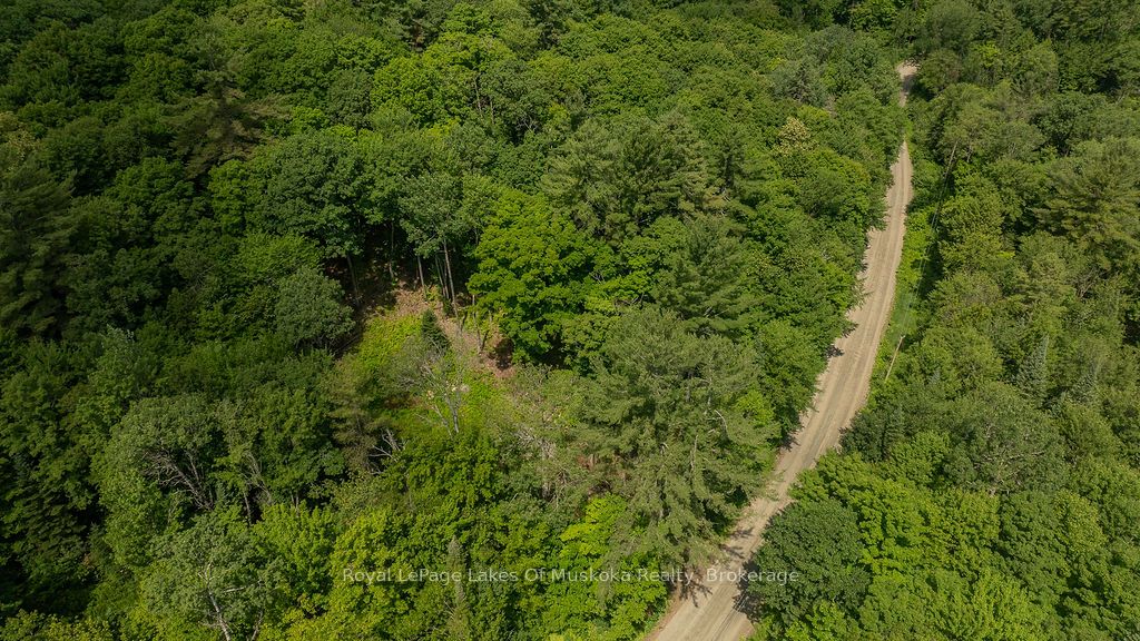 0000 Ril lake Road S, Lake of Bays, ON P0B 1A0 photo 5