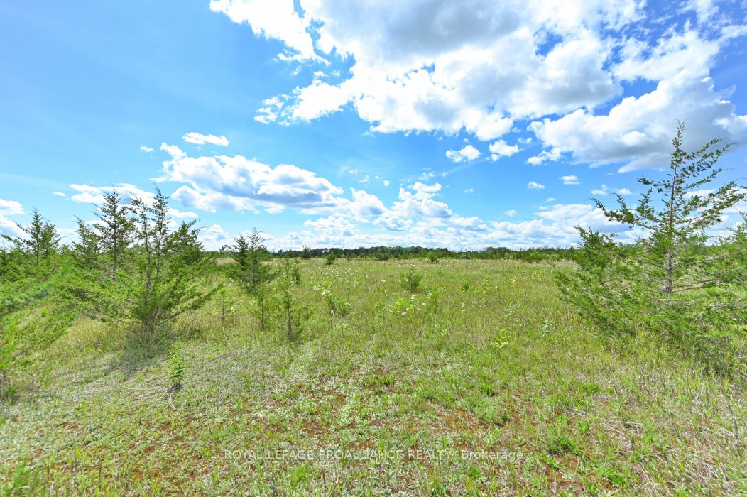 1575 Marysville Road, Tyendinaga, ON K0K 2N0 photo 3