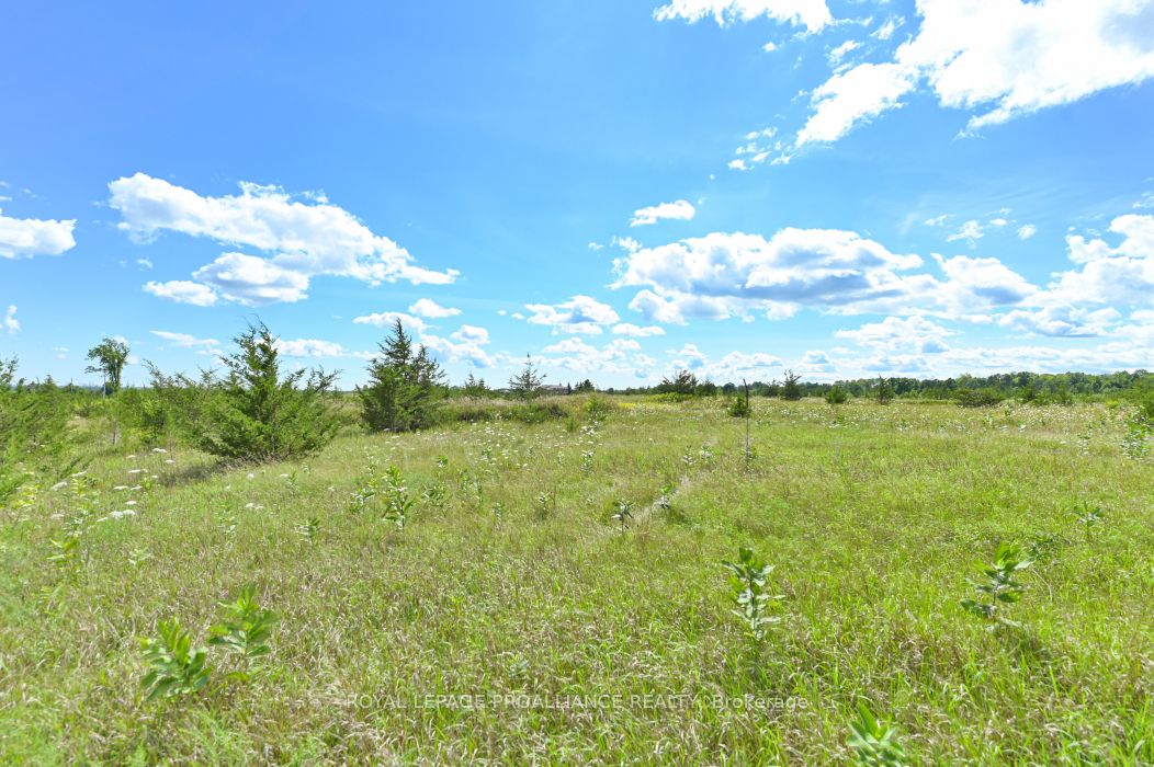 1575 Marysville Road, Tyendinaga, ON K0K 2N0 photo 4