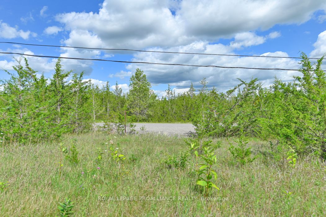 1575 Marysville Road, Tyendinaga, ON K0K 2N0 photo 5
