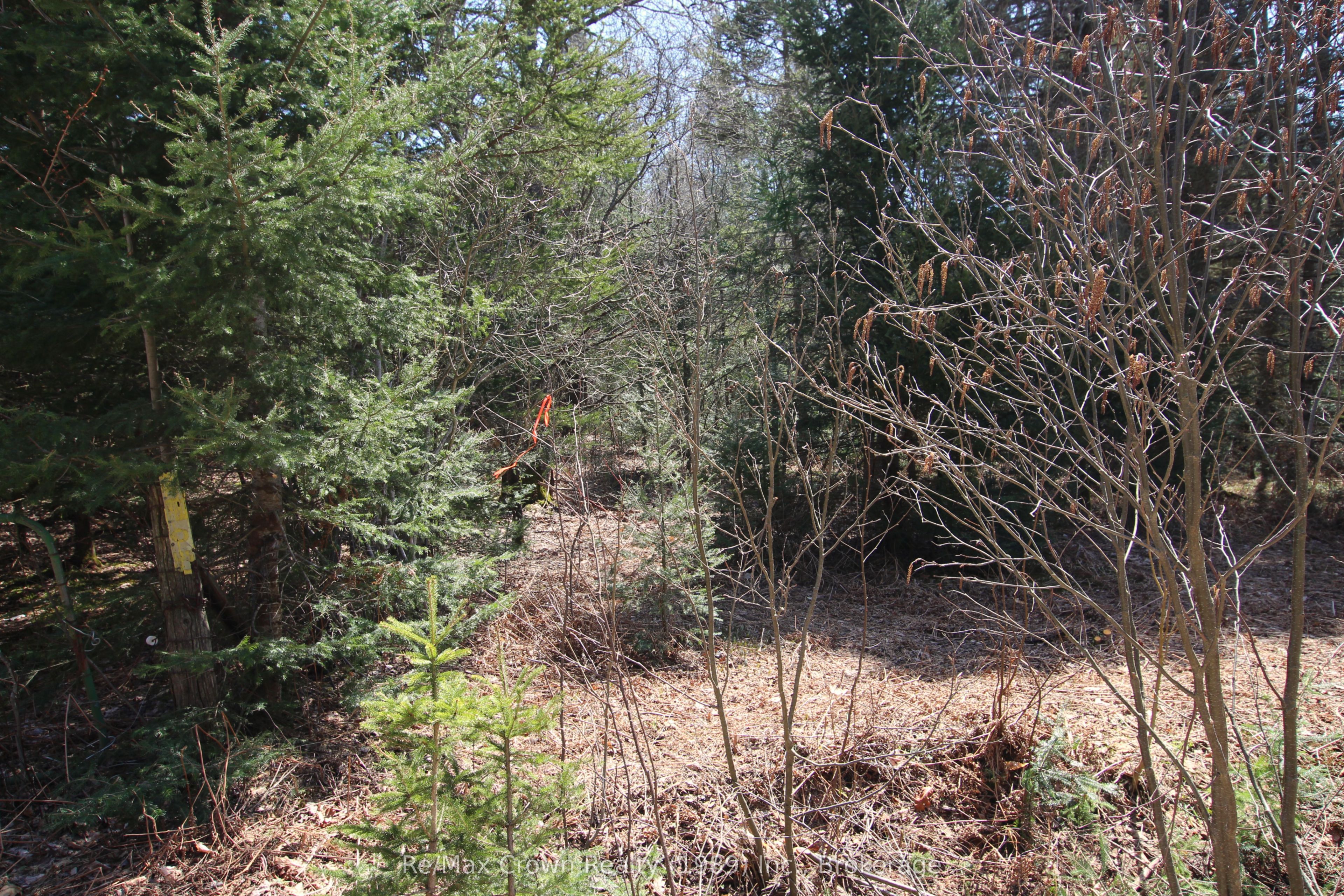 0 Barrett Road, Nipissing, ON P0H 1J0 photo 2