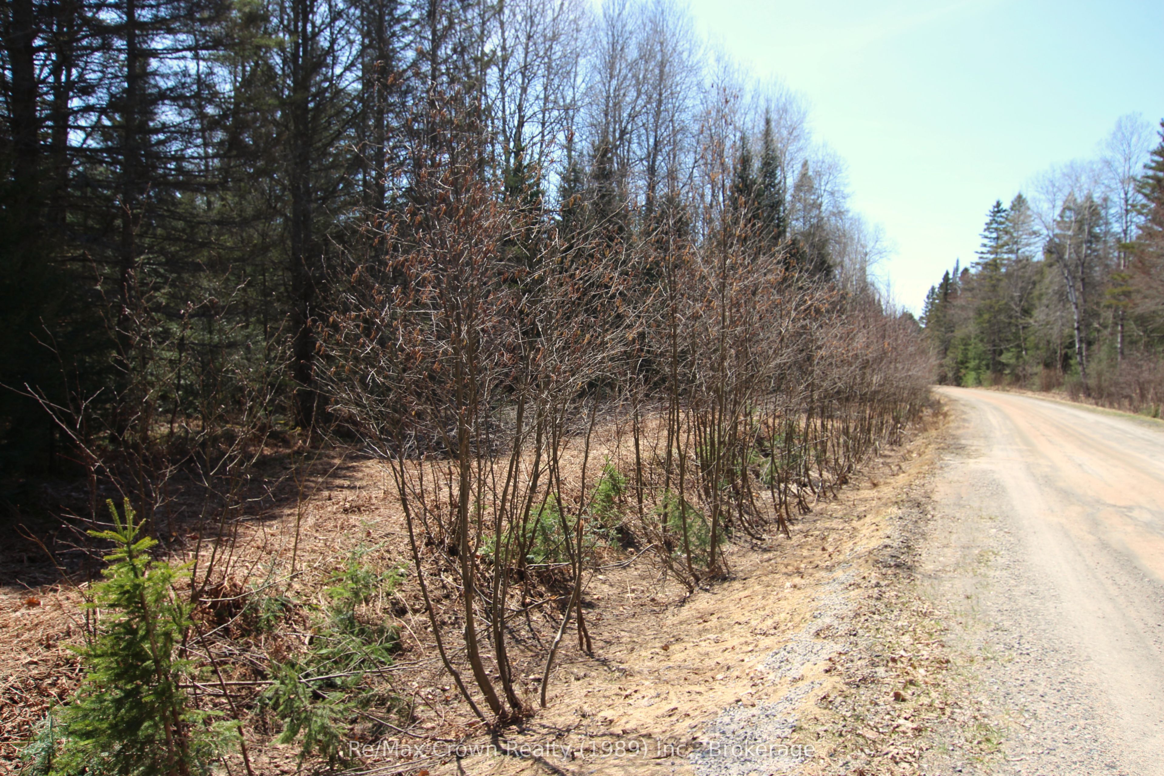 0 Barrett Road, Nipissing, ON P0H 1J0 photo 3