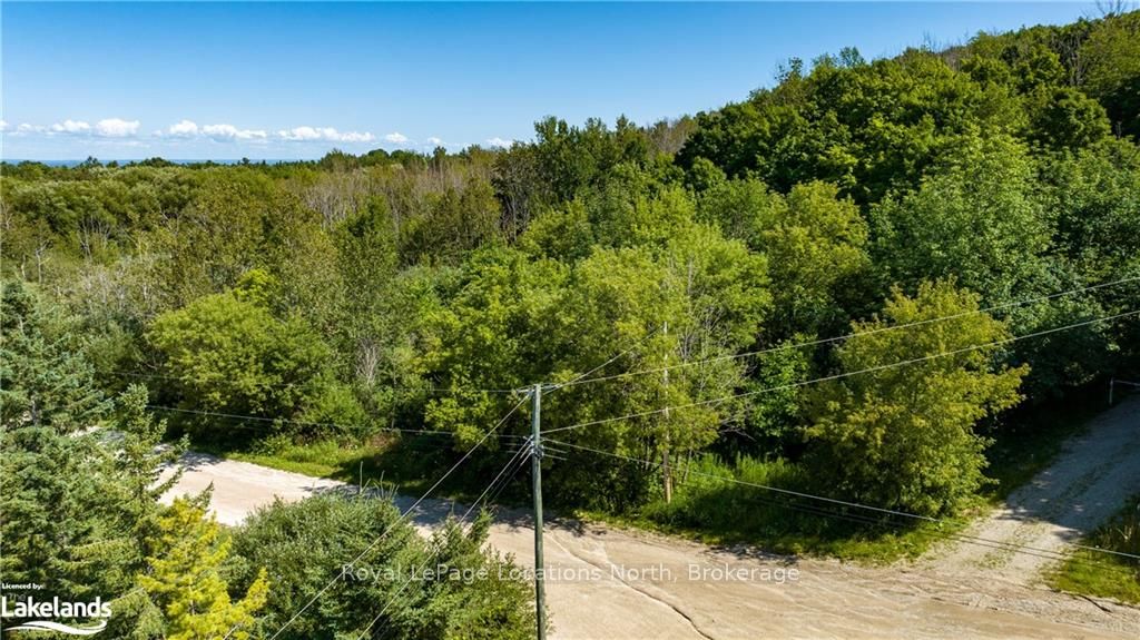 17-18 Scandia Lane, Blue Mountains, ON N1A 2W1 photo 4