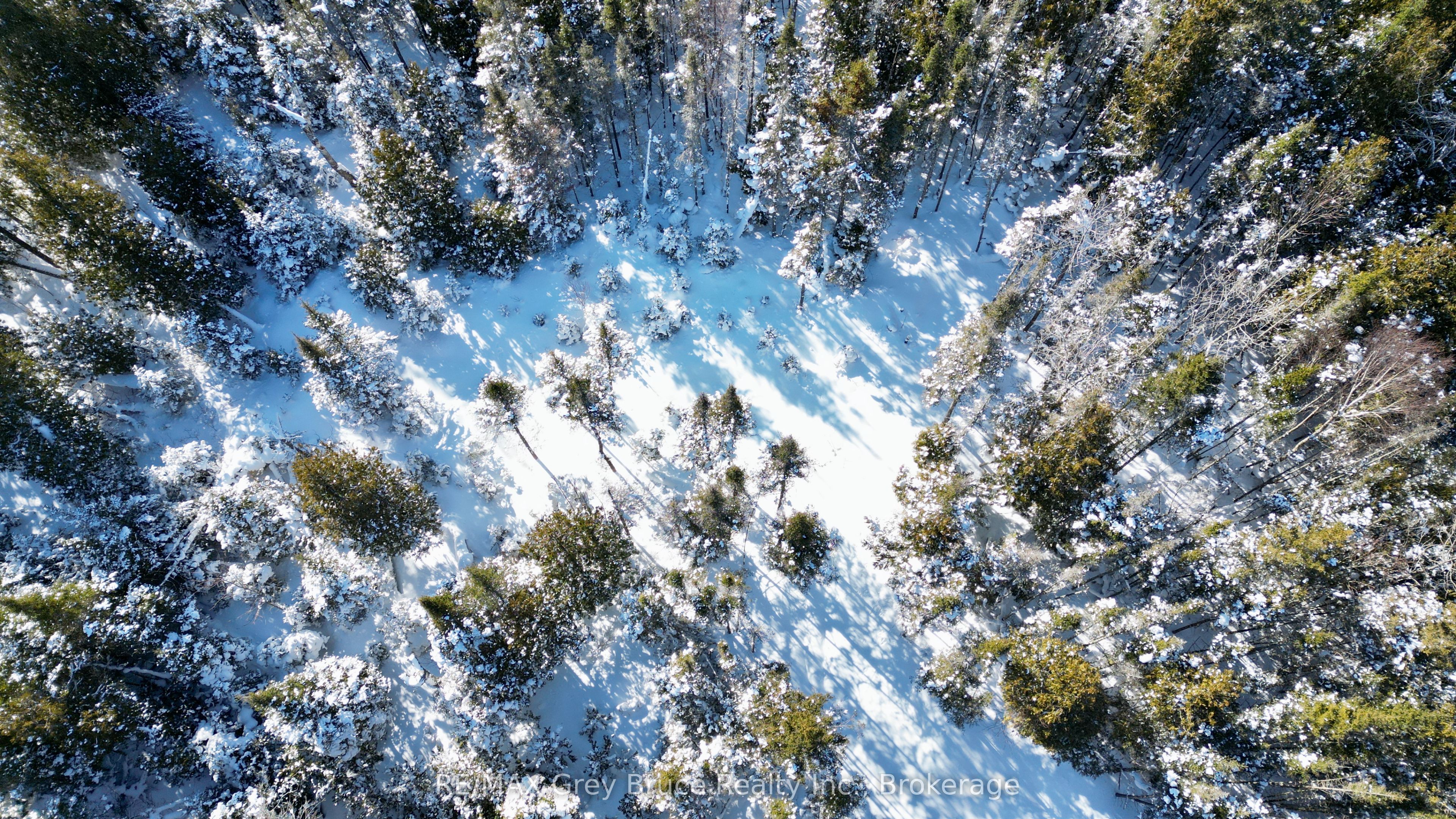 Lot 22 Ray Drive, Northern Bruce Peninsula, ON N0H 2R0 photo 5