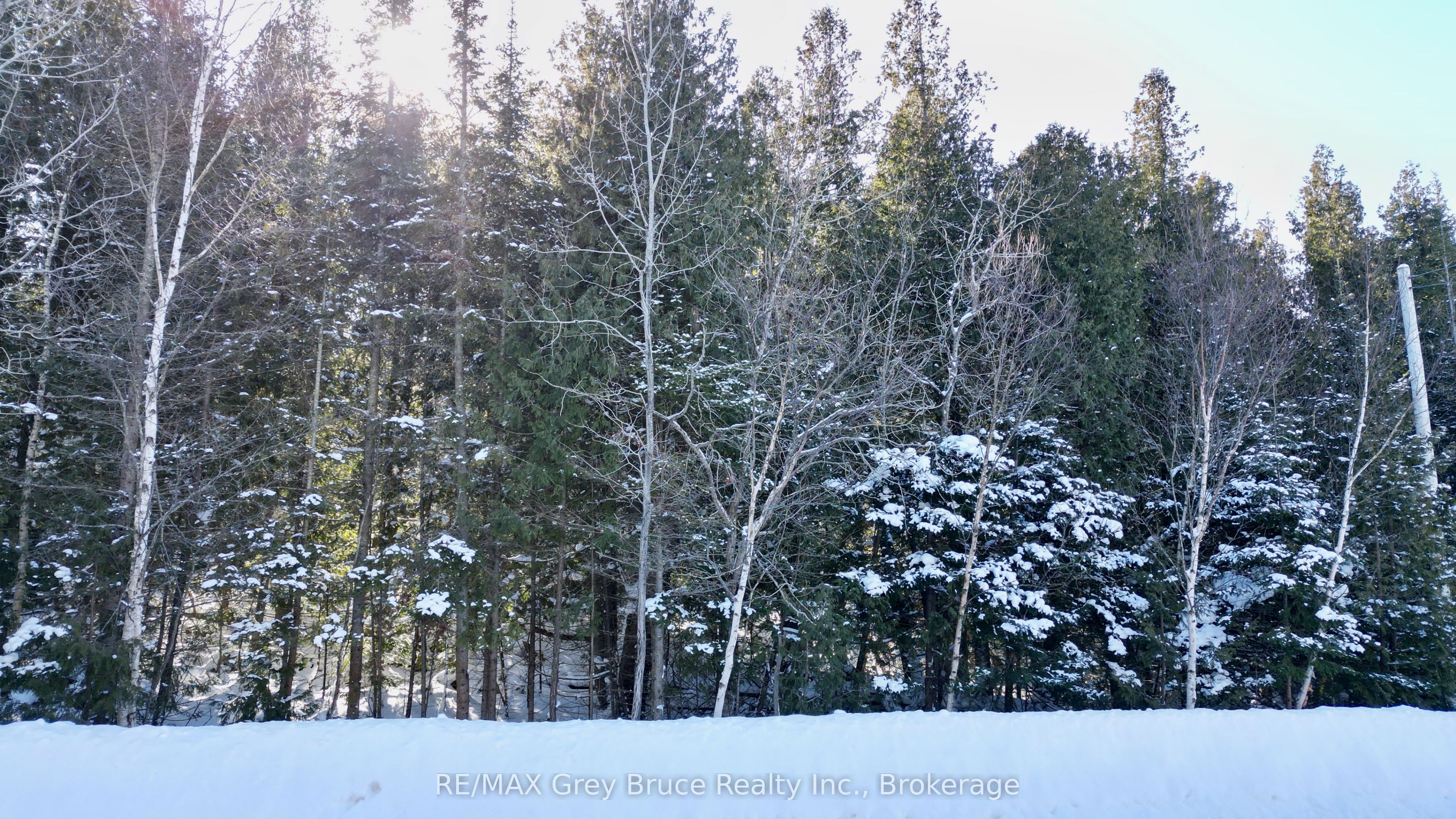Lot 30 Myles Drive, Northern Bruce Peninsula, ON N0H 2R0 photo 2
