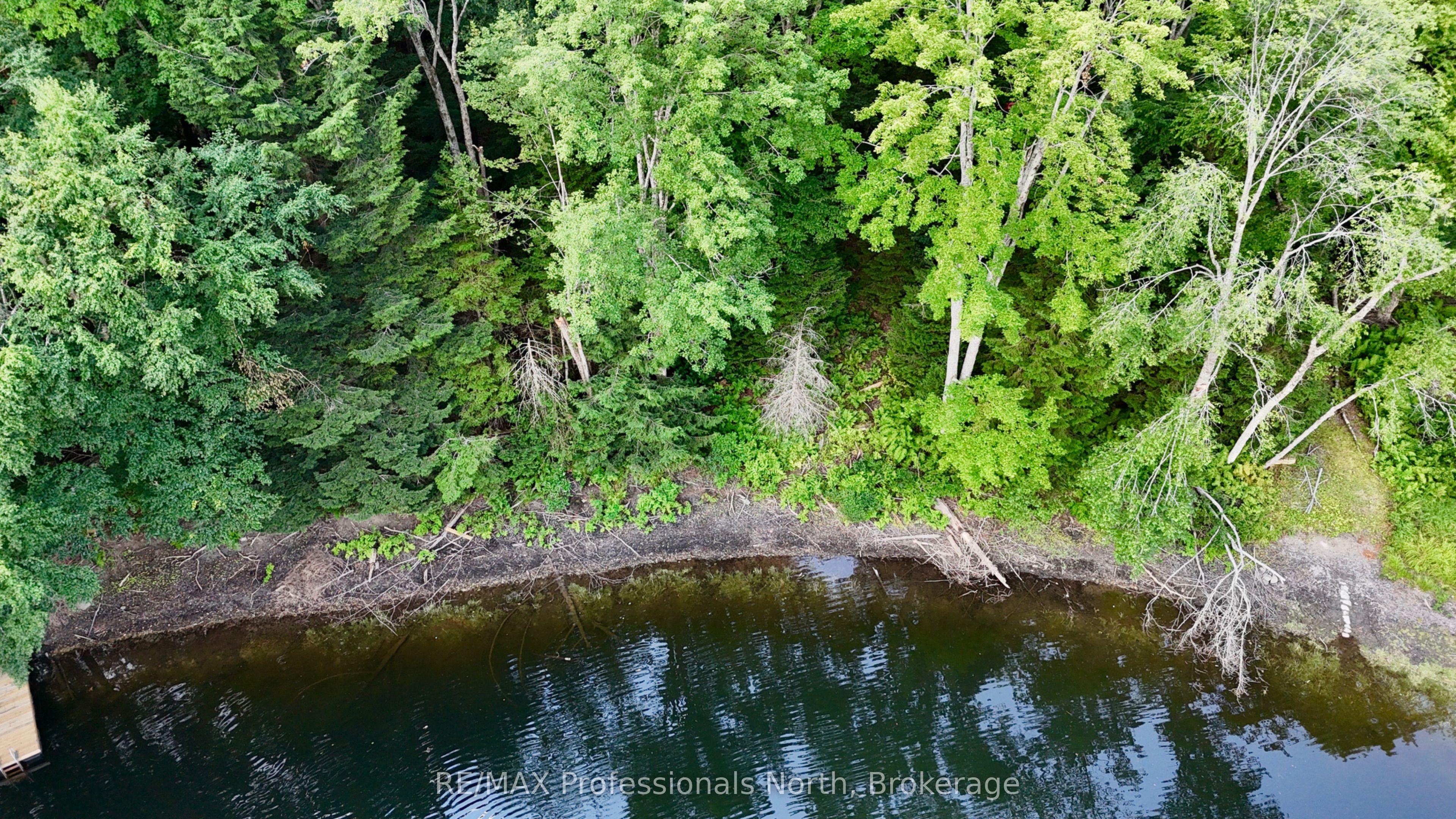 0 Sherwood Forest Road, Bracebridge, ON P1L 1X3 photo 5