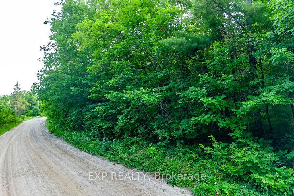 00 Mine View Road, Whitewater Region, ON K0J 1Y0 photo 4