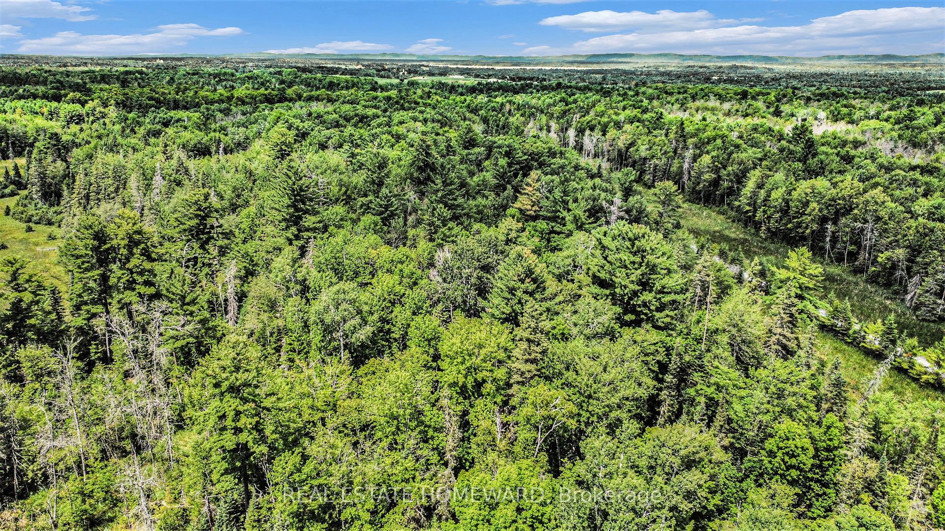 57143.0113 Vacant Land N/A, Laurentian Valley, ON K8A 6W3 photo 5