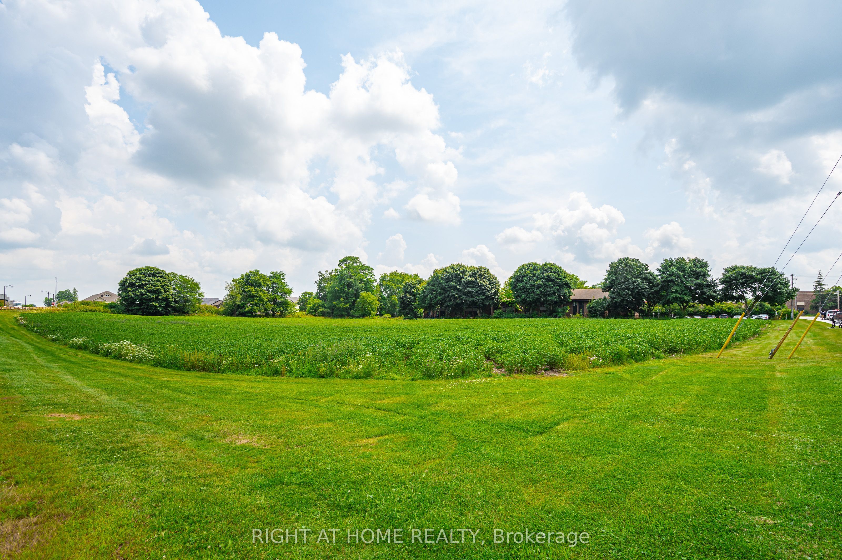 20 Part Lot Con 1 N/A, Minto, ON N0G 2P0 photo 4