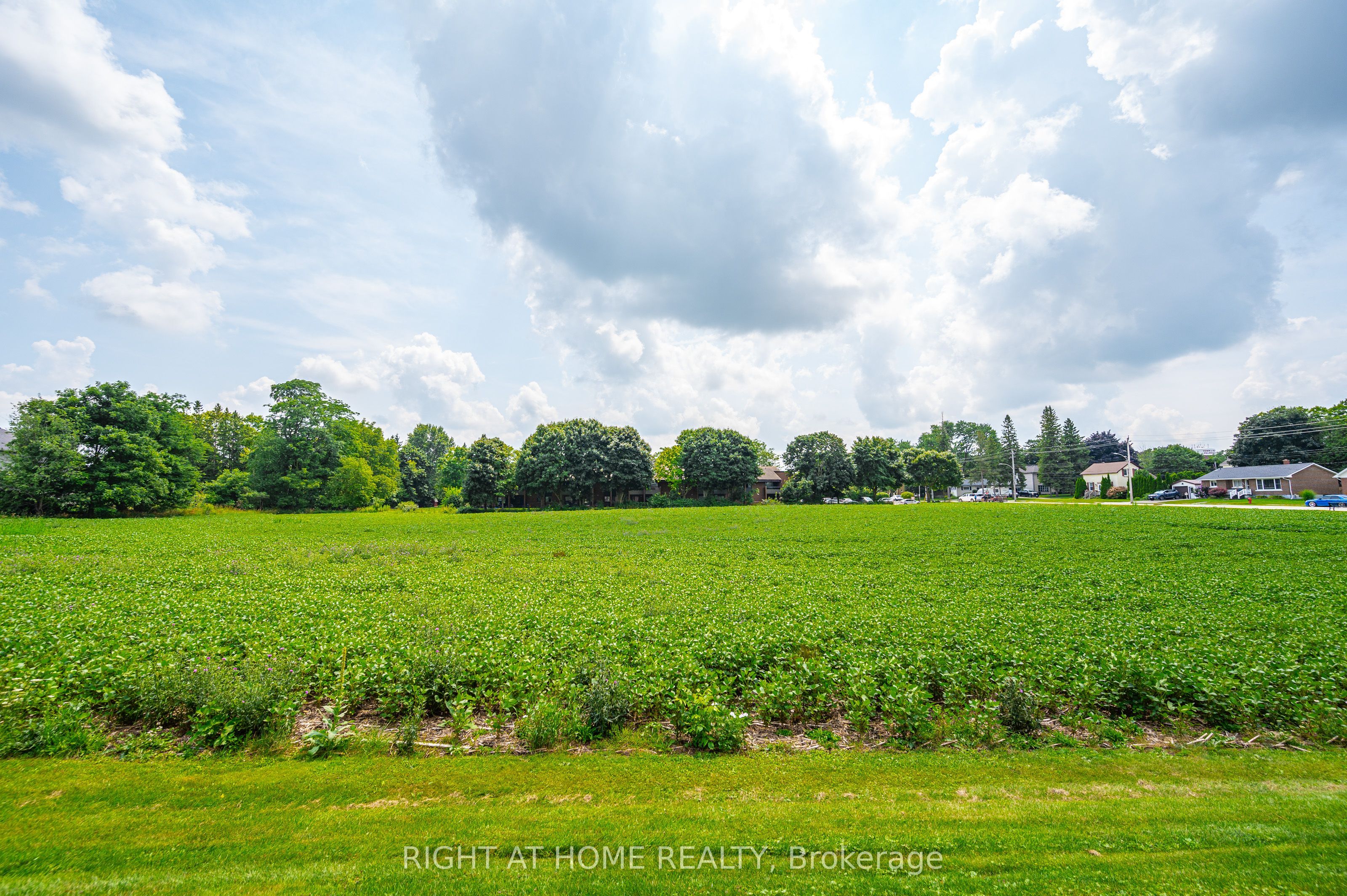 20 Part Lot Con 1 N/A, Minto, ON N0G 2P0 photo 5