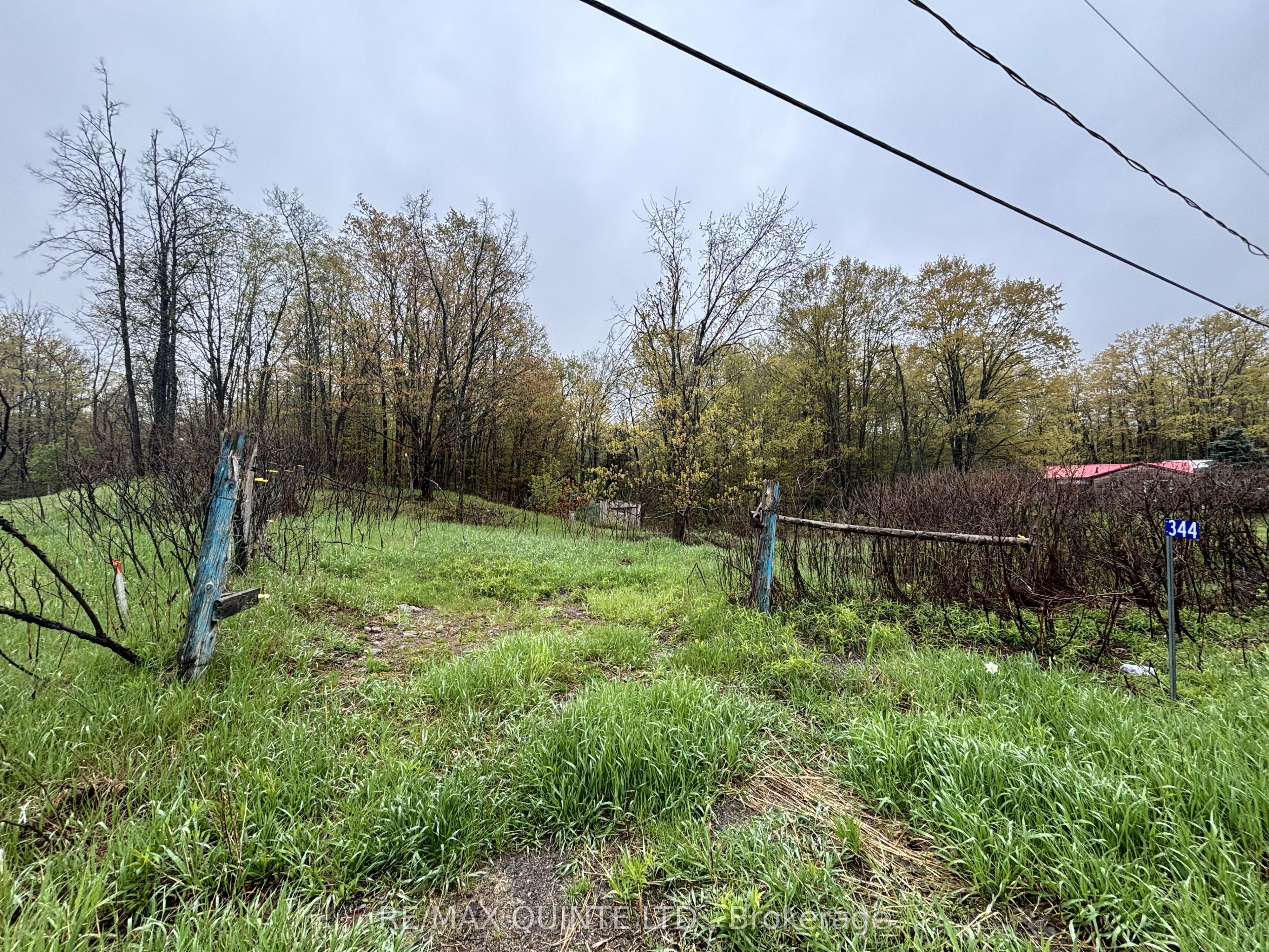 344 Quin-Mo-Lac Road, Centre Hastings, ON K0K 2K0 photo 3