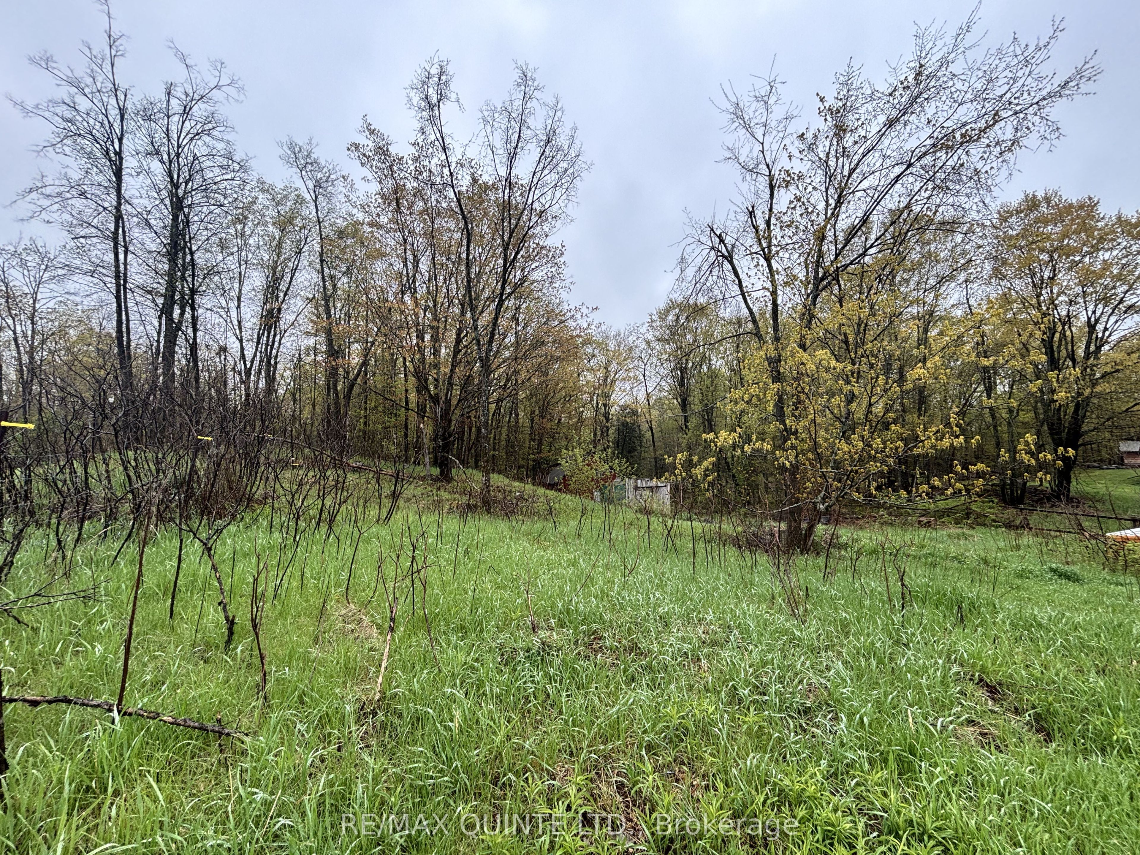 344 Quin-Mo-Lac Road, Centre Hastings, ON K0K 2K0 photo 5