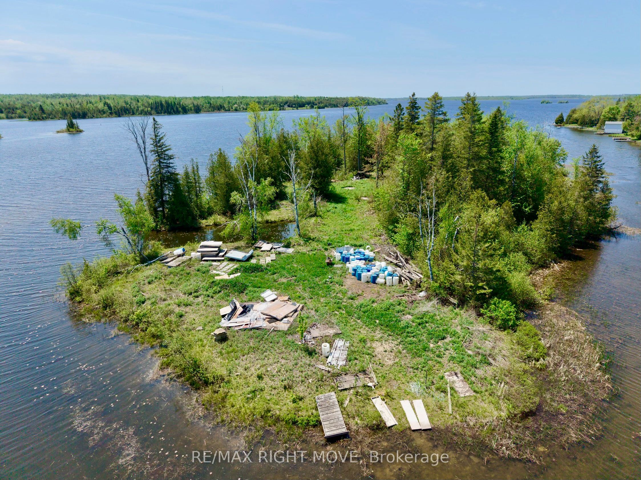 0 Mcguire Beach Road, Kawartha Lakes, ON K0M 2B0 photo 3