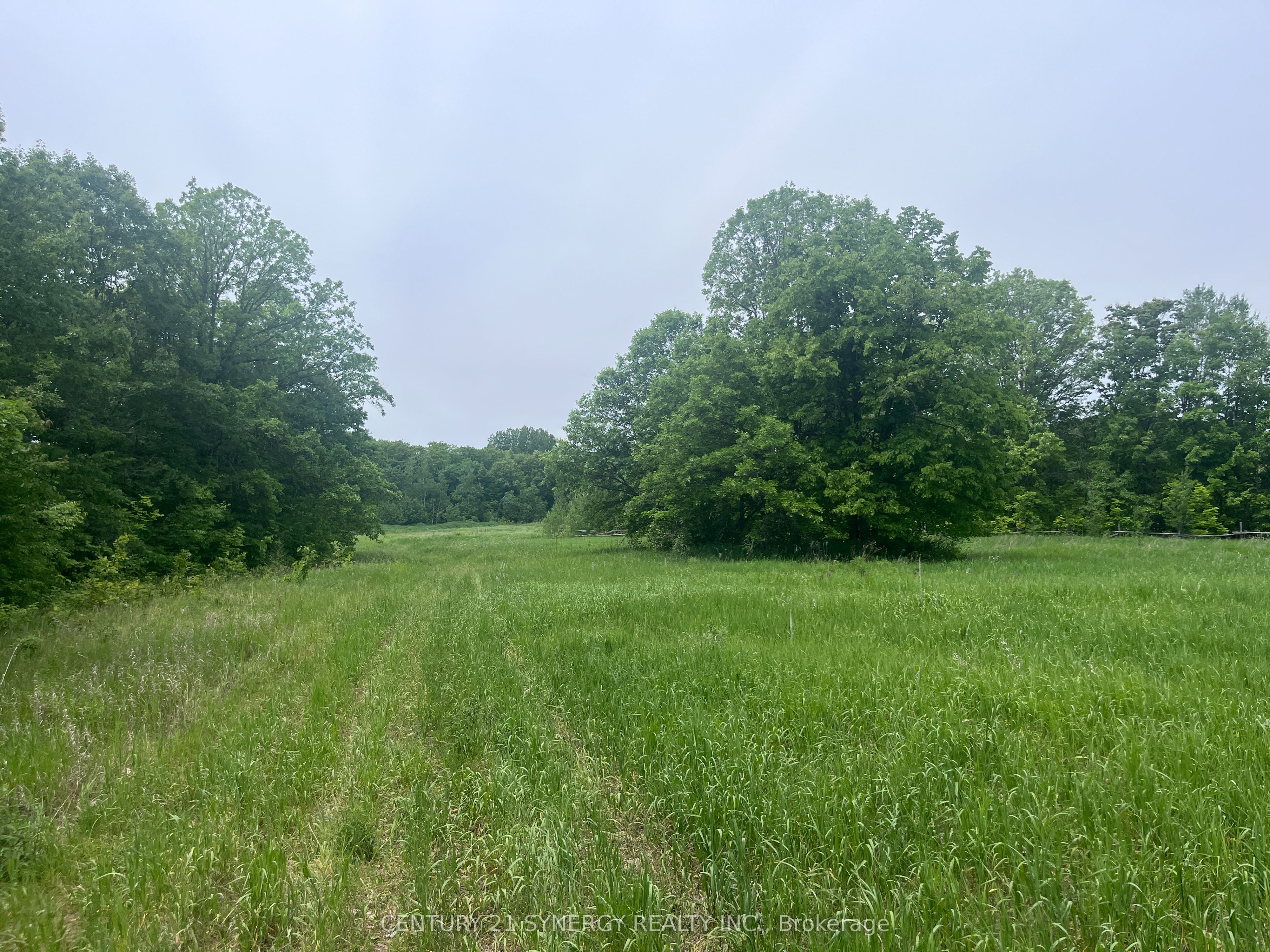 36 Paul A Bertrand Drive, McNab/Braeside, ON K7S 3G8 photo 3
