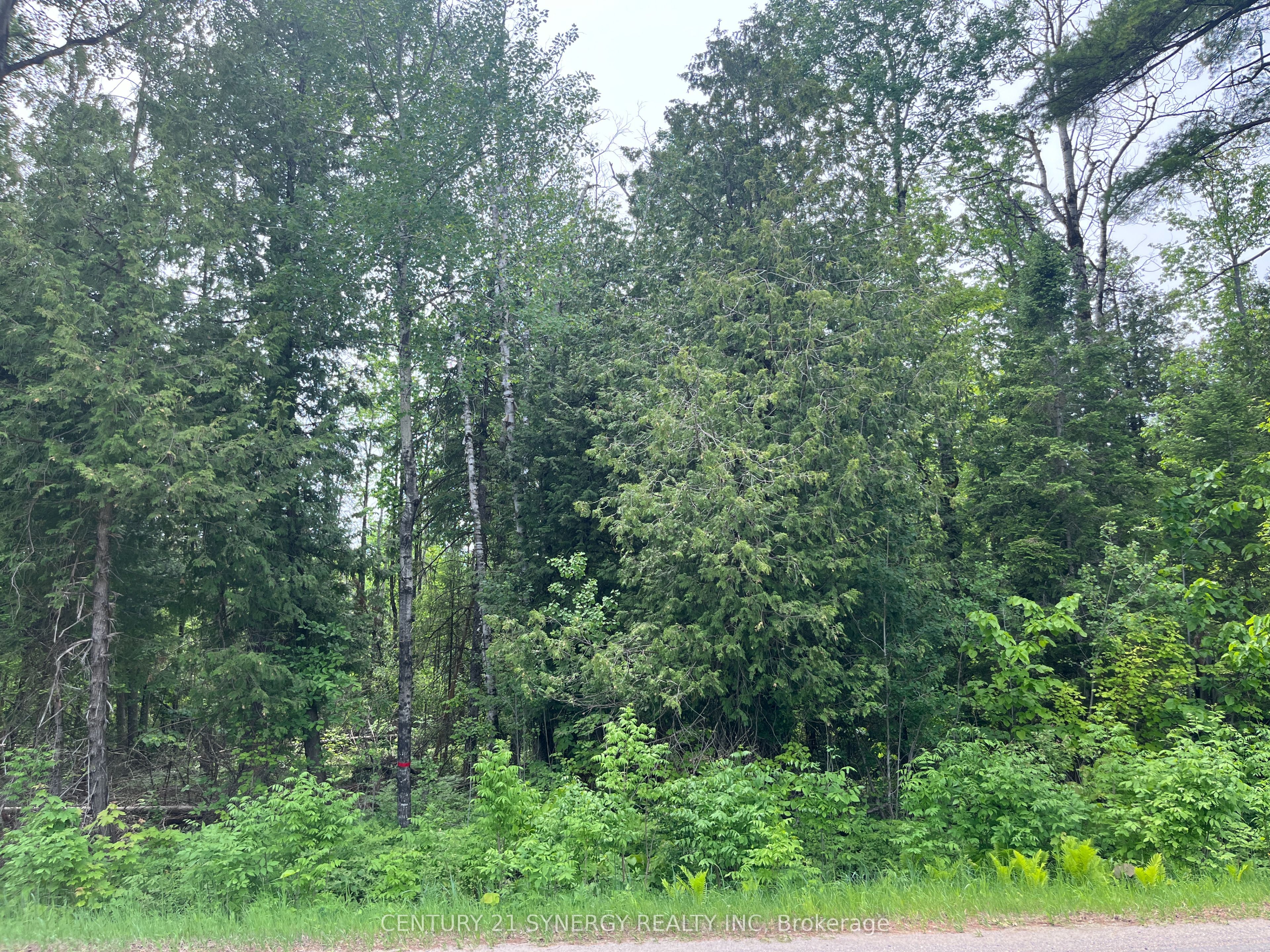 00 Bellamy Road, McNab/Braeside, ON K0A 3L0 photo 5