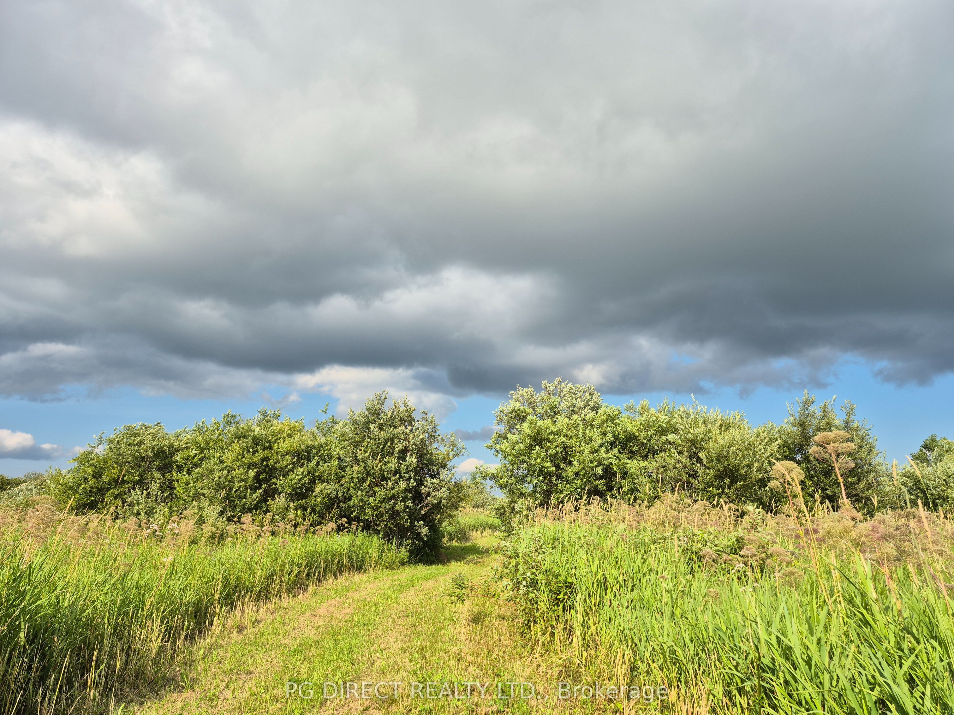 132681 Southgate Sideroad 13, Southgate, ON N0C 1B0 photo 3