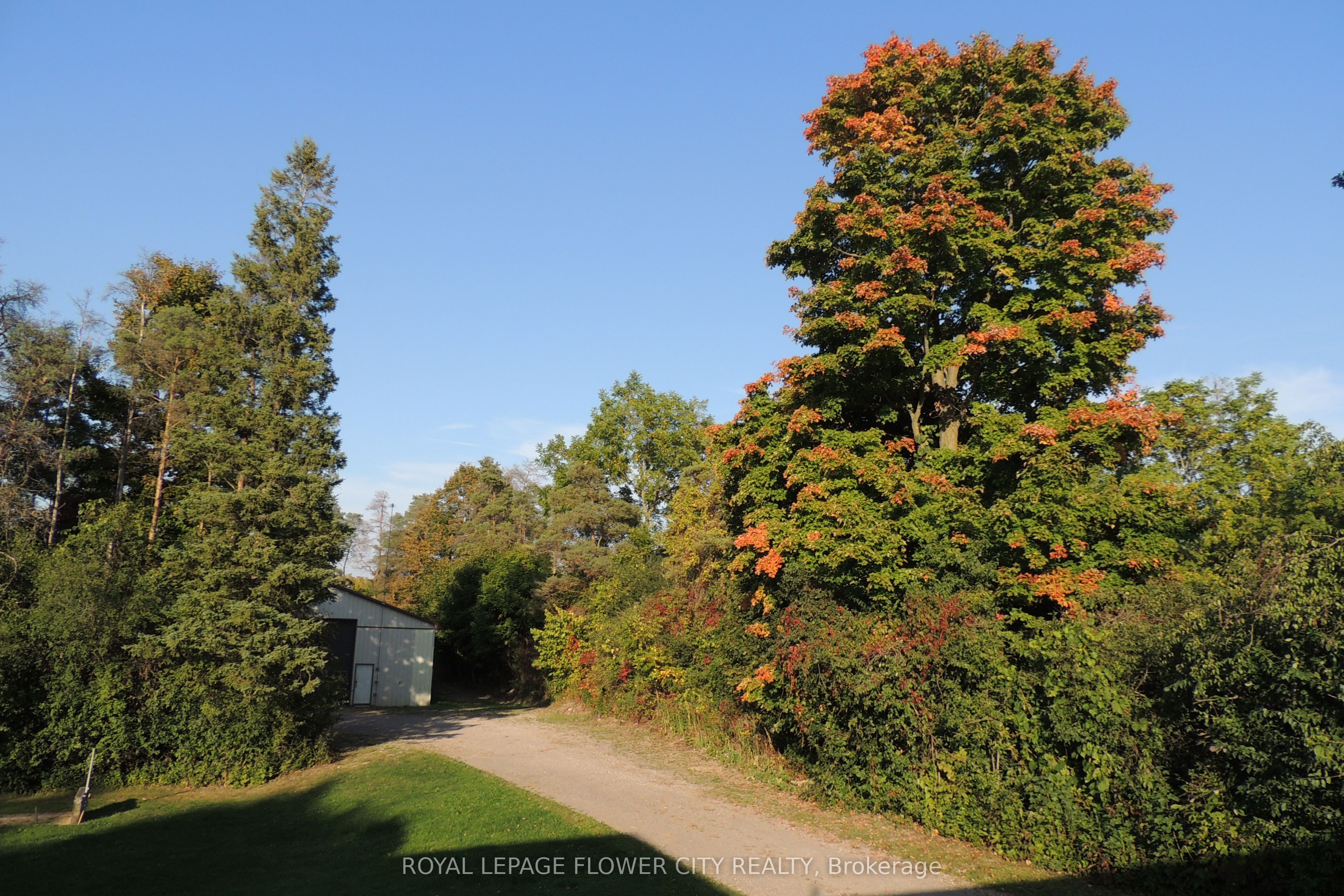 4871 Wellington Rd 29 Road, Guelph/Eramosa, ON N1H 6H8 photo 5