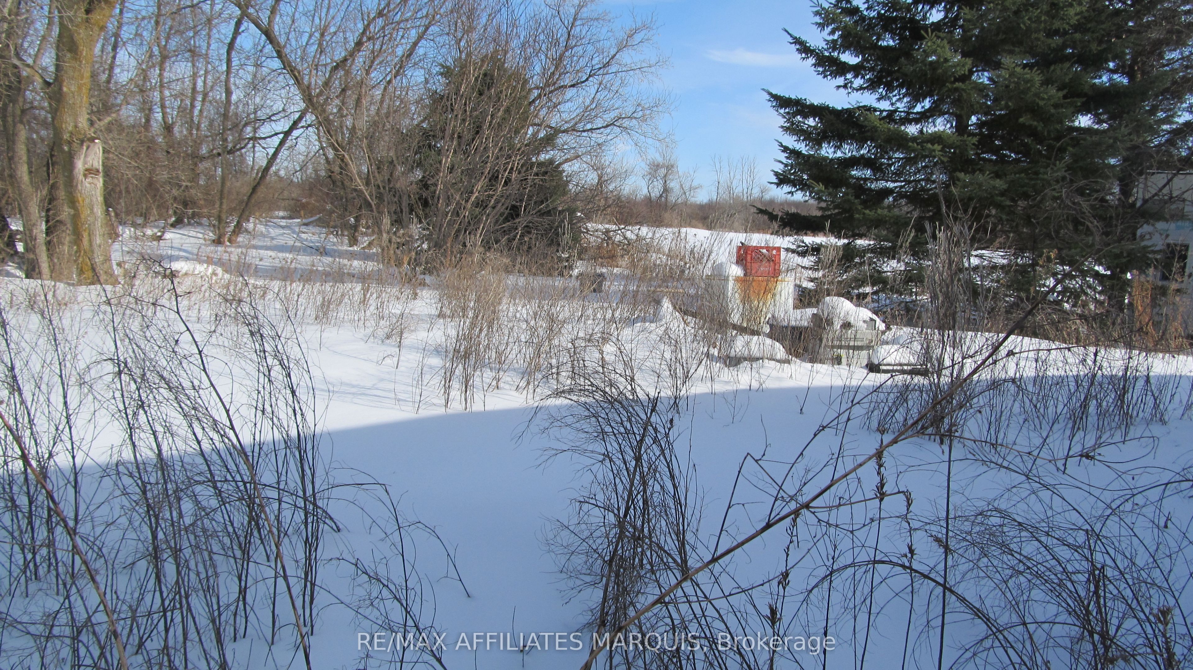 15554 SAVING Street, South Stormont, ON K0C 1Y0 photo 4