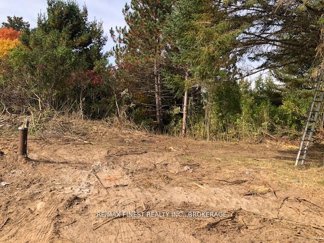 1380 Westport Road, Frontenac, ON K0H 1T0 photo 2