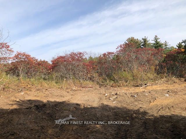 1380 Westport Road, Frontenac, ON K0H 1T0 photo 4