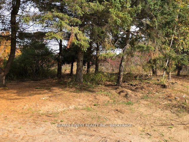 1380 Westport Road, Frontenac, ON K0H 1T0 photo 5