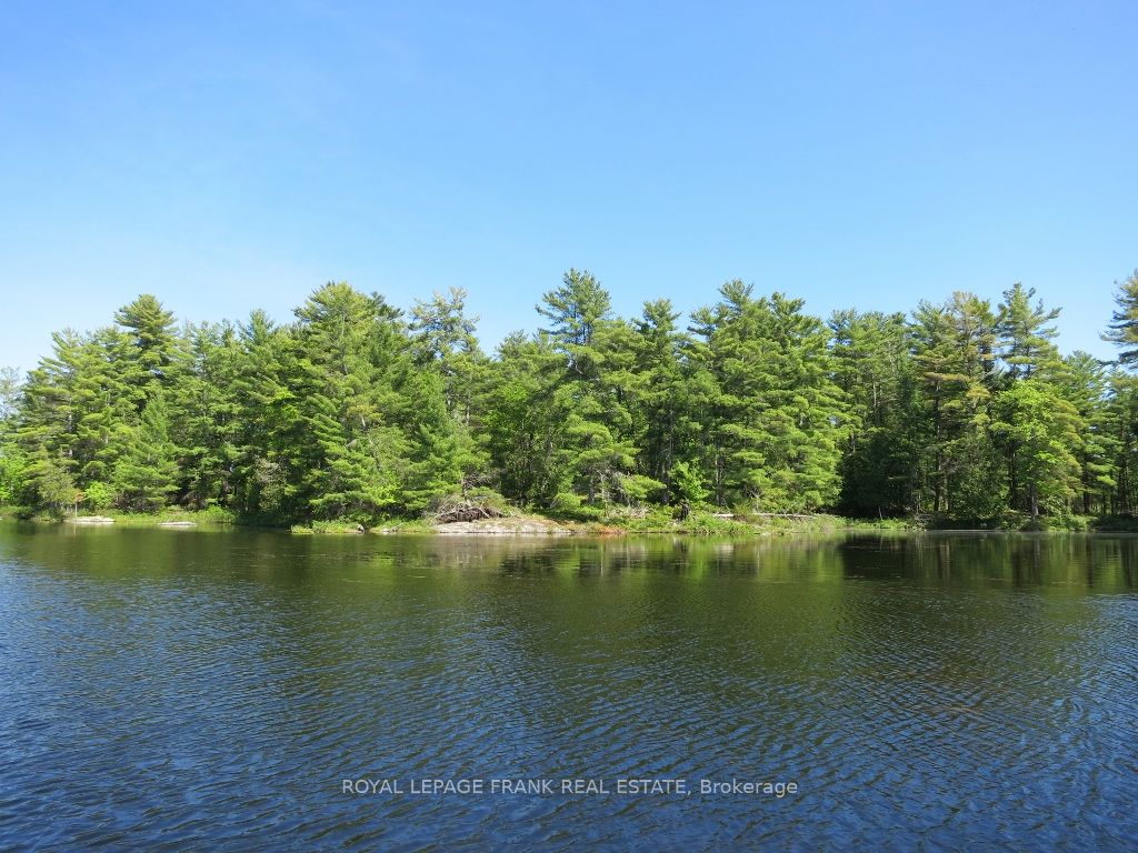 0 Horseshoe Island, North Kawartha, ON K0L 2H0 photo 2