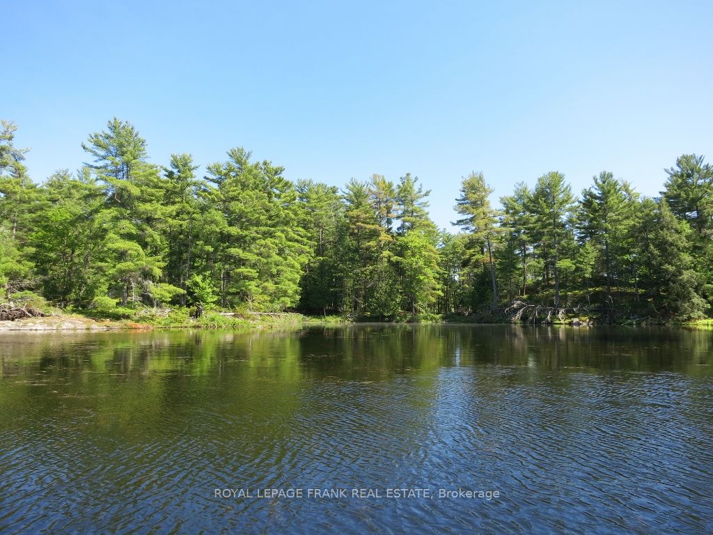 0 Horseshoe Island, North Kawartha, ON K0L 2H0 photo 5