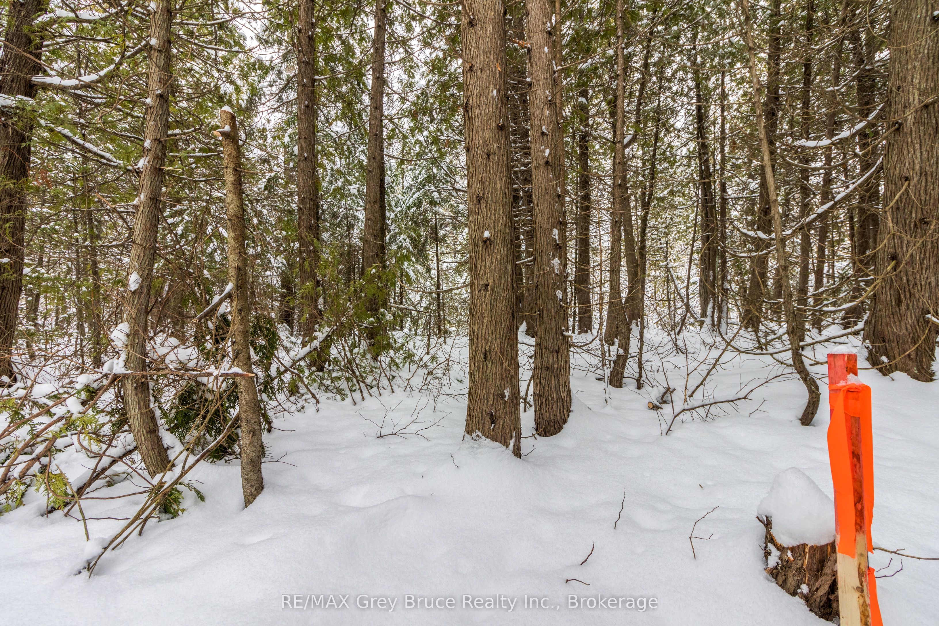 Fm Lt 4 Nicholas Street, Northern Bruce Peninsula, ON N0H 2R0 photo 4