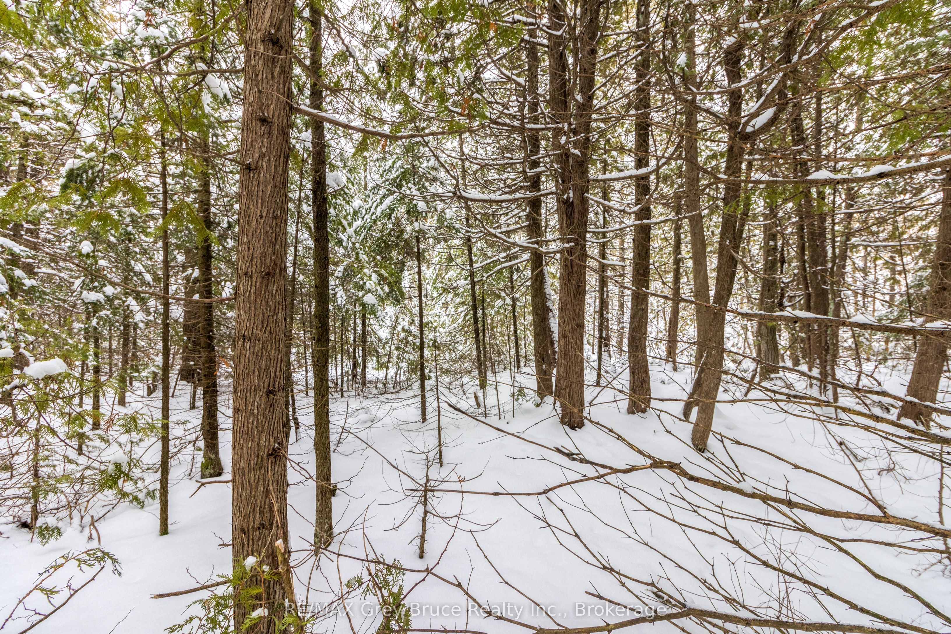 Fm Lt 4 Nicholas Street, Northern Bruce Peninsula, ON N0H 2R0 photo 5