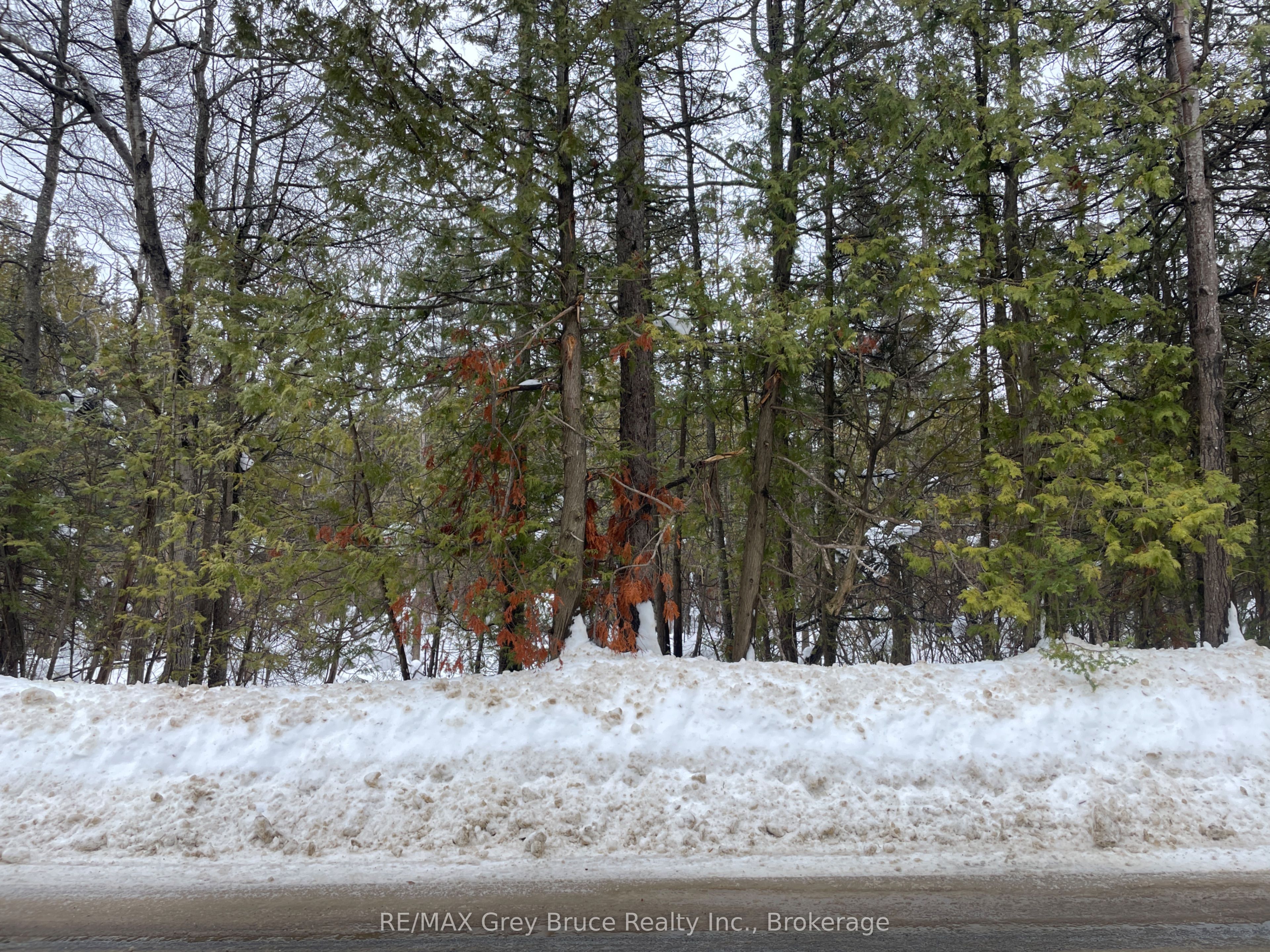 PT Farm LT 4 NICHOLAS Street, Northern Bruce Peninsula, ON N0H 2R0 photo 4